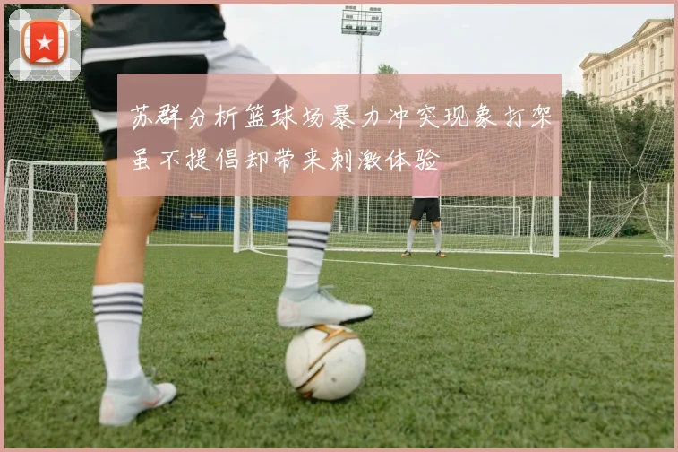 苏群分析篮球场暴力冲突现象打架虽不提倡却带来刺激体验
