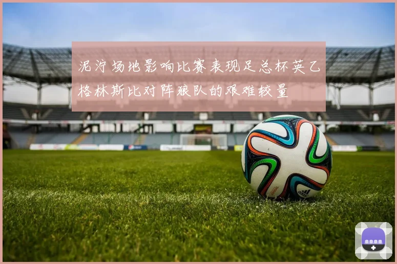 泥泞场地影响比赛表现足总杯英乙格林斯比对阵狼队的艰难较量